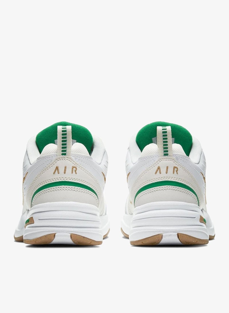 AIR MONARCH IV