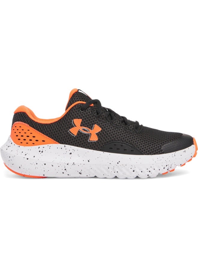 UA BGS Surge 4