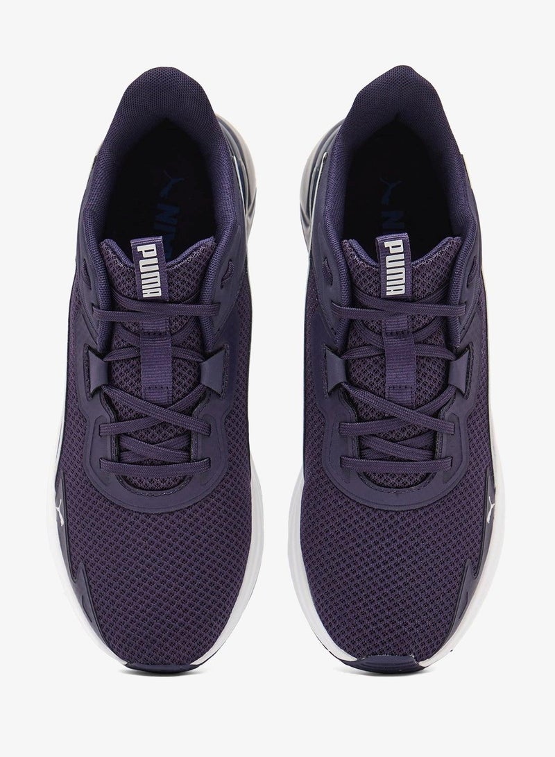 Disperse Xt 4