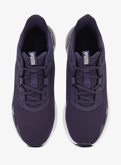 Disperse Xt 4