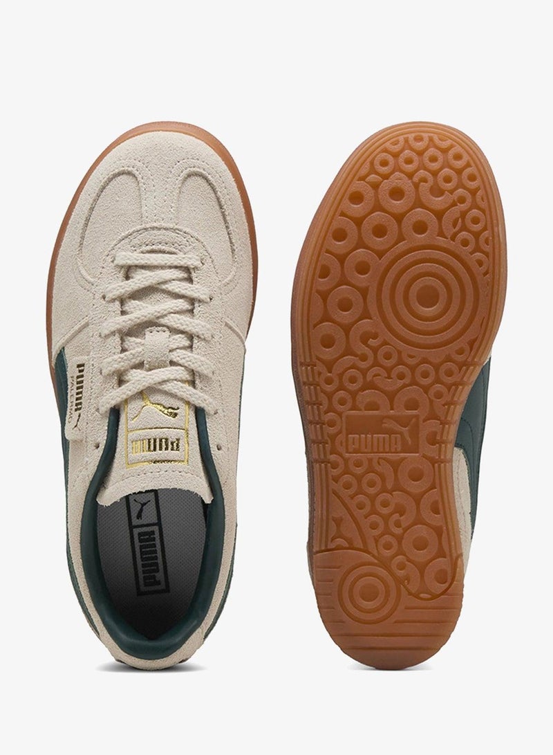 Palermo Elevata