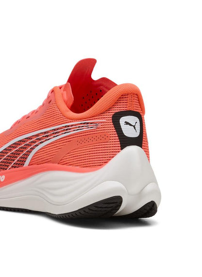 Velocity Nitro 3 Running Shoes Women