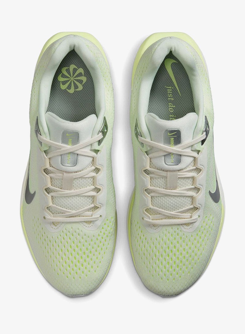 Nike Winflo 11