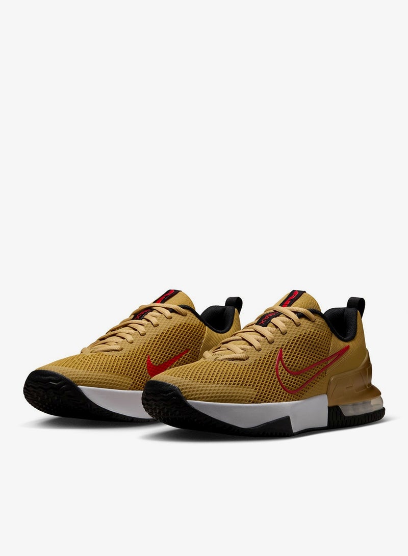 Nike Air Max Alpha Trainer 6
