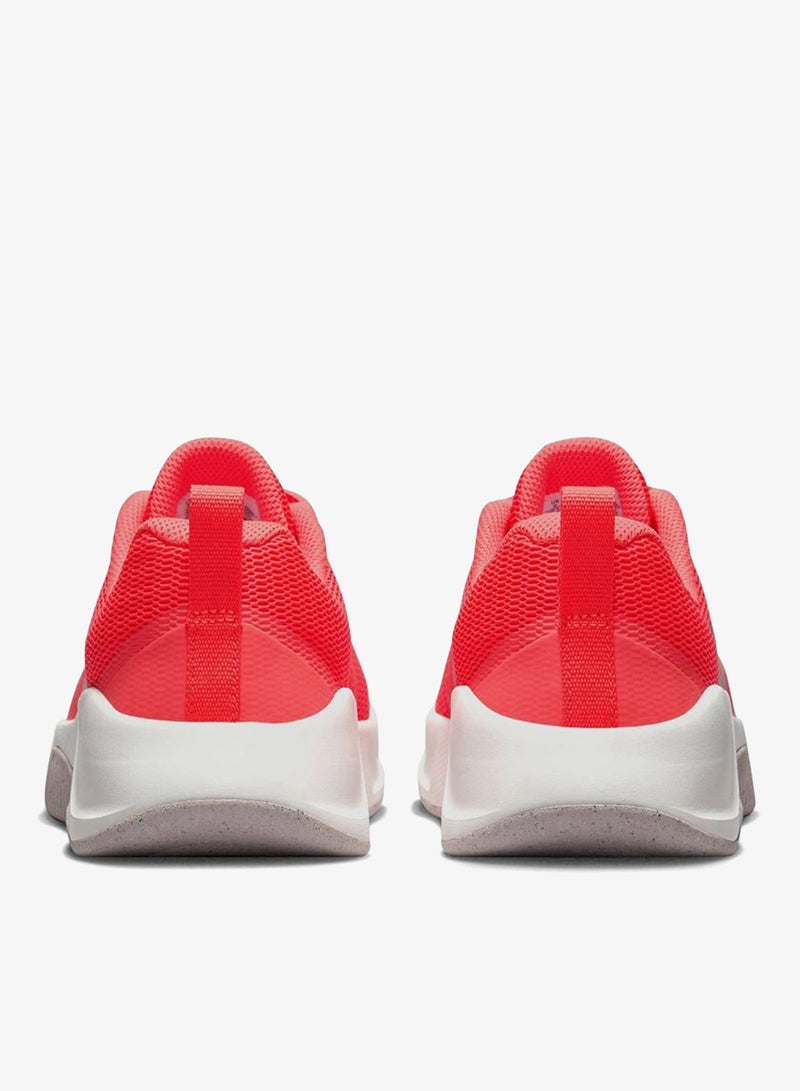 Mc Trainer 3