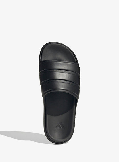 Znsory Slides