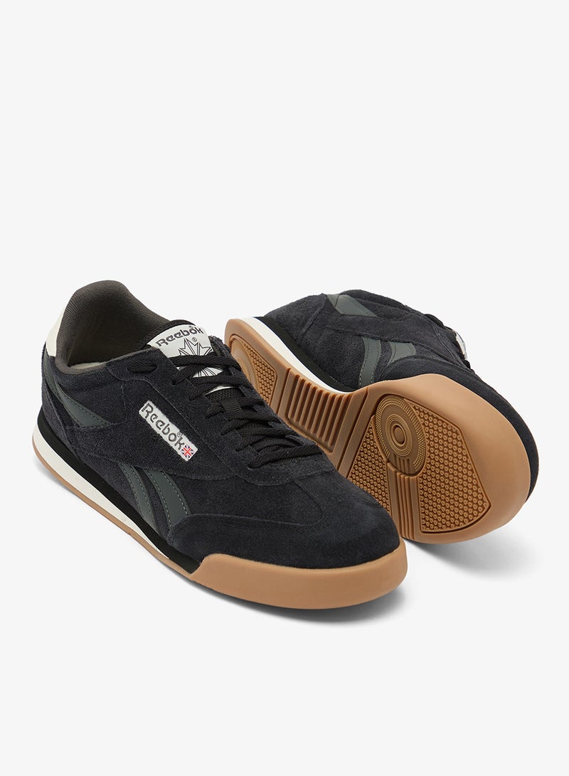 Campio Xt