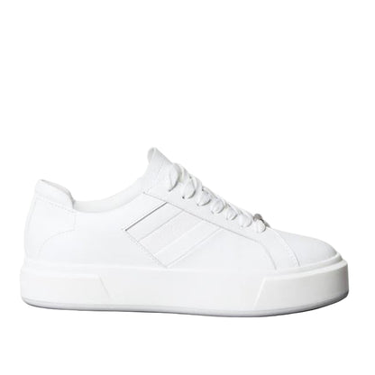 Casual Low Top Sneakers