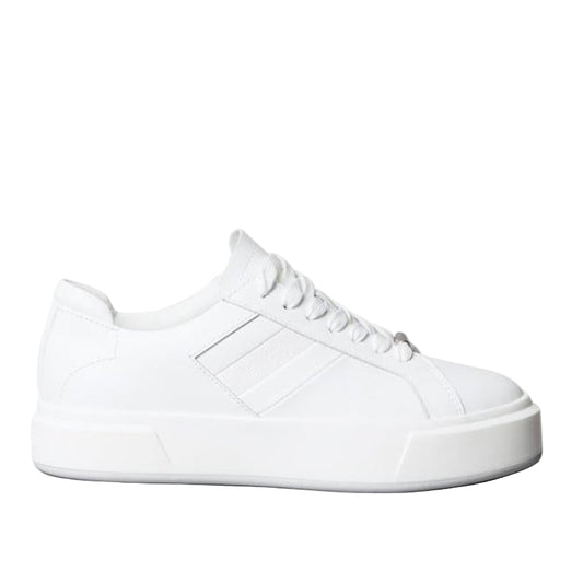 Casual Low Top Sneakers