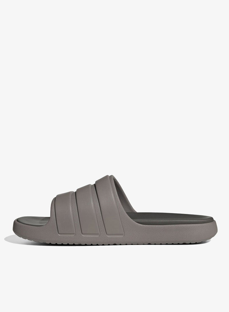 Znsory Slides