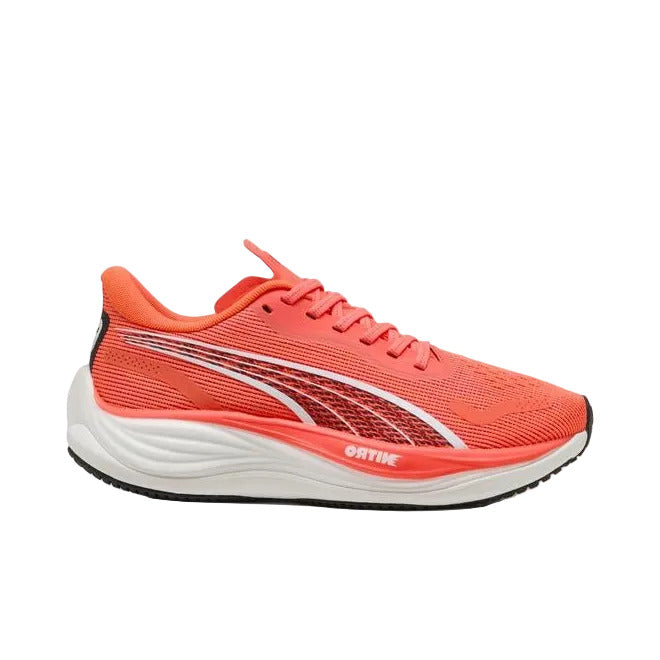 Velocity Nitro 3 Running Shoes Women