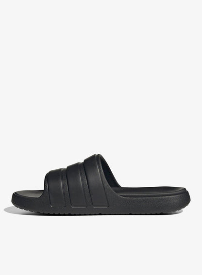 Znsory Slides