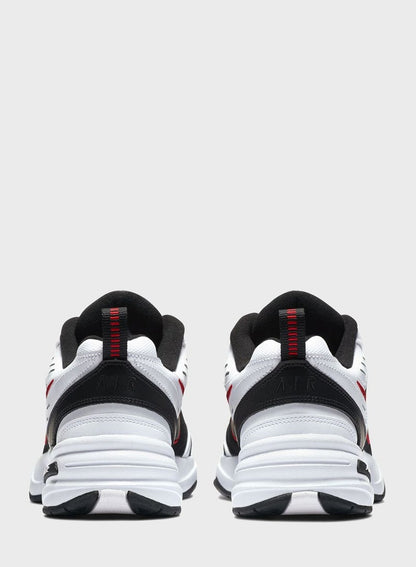 AIR MONARCH IV