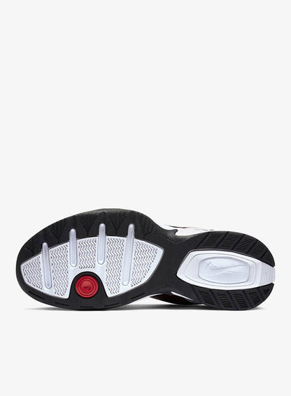 Air Monarch Iv