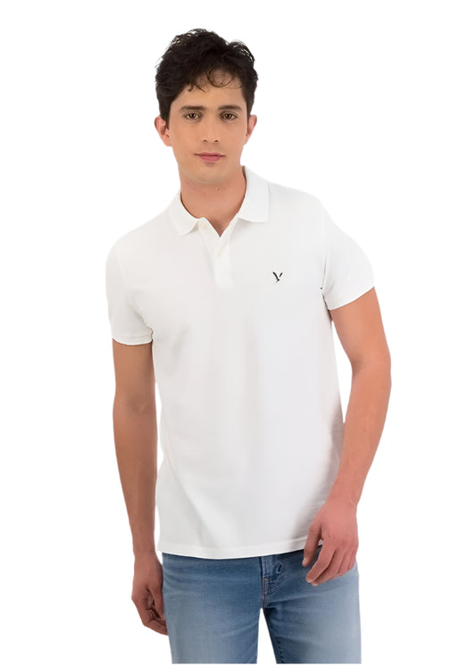 Logo Polo