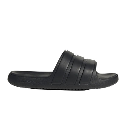 Znsory Slides