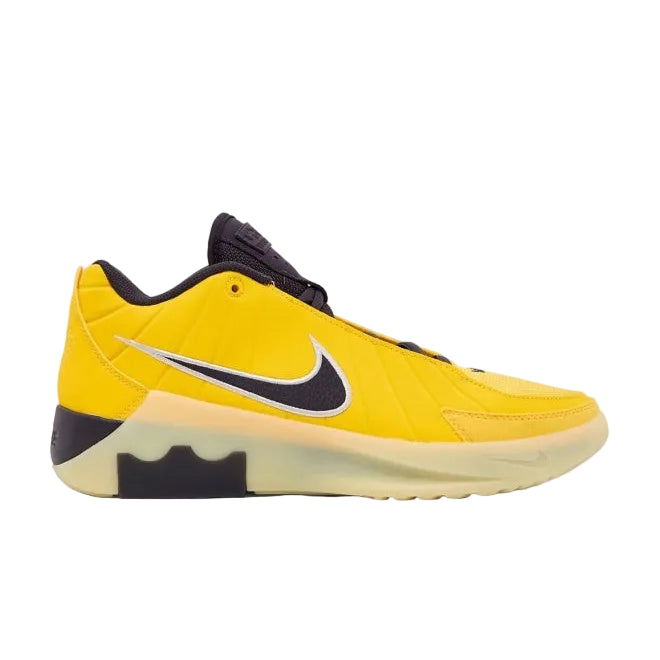Lebron Witness Ix