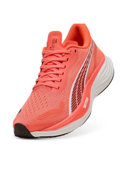 Velocity Nitro 3 Running Shoes Women