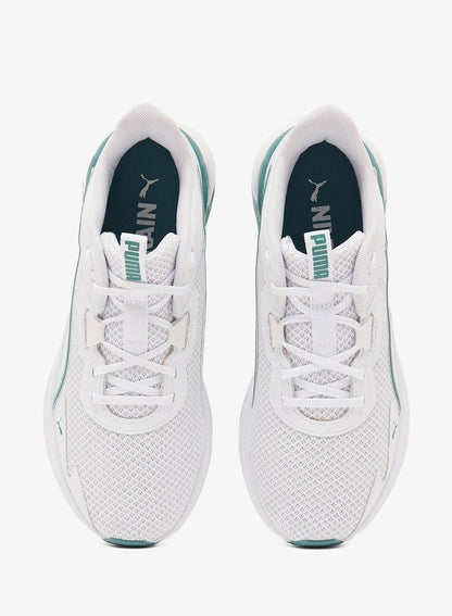 Disperse Xt 4