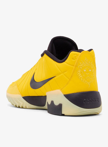 Lebron Witness Ix
