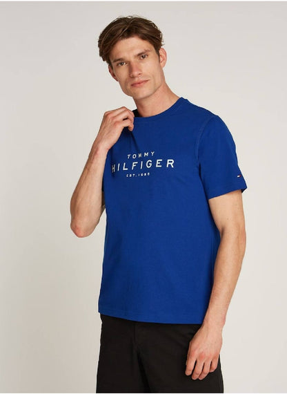 Men's Big Hilfiger T-shirt - Cotton, White