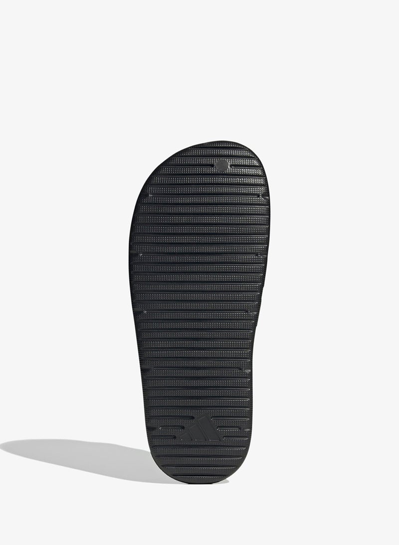 Znsory Slides