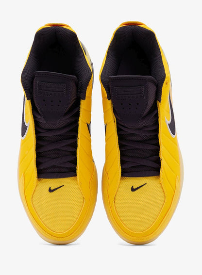 Lebron Witness Ix