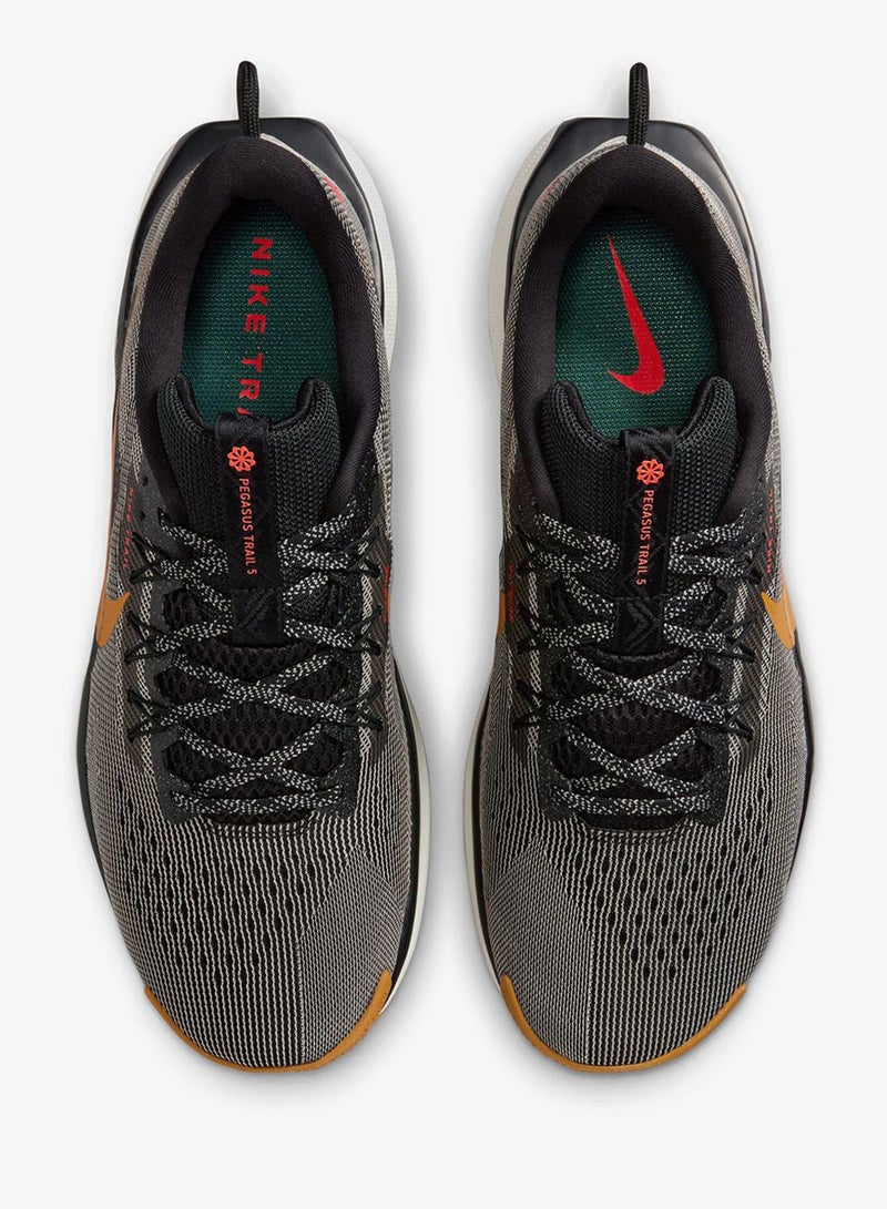 Nike Pegasus Trail 5
